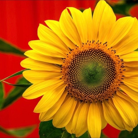 💚💙❤️💛🧡💚💙❤️💛🧡💚💙❤️💛🧡 - Picture 9 of 14